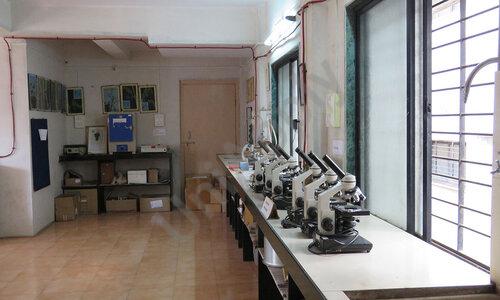 Gargi Junior College — photo 6