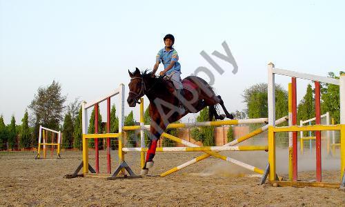 GD Goenka High School — photo 13