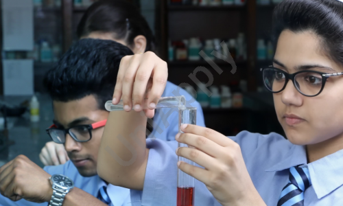Geetanjali Senior Secondary School — photo 4