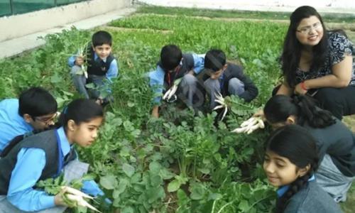 GEMS International School — photo 3