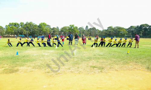 Global Academy For Learning — photo 4