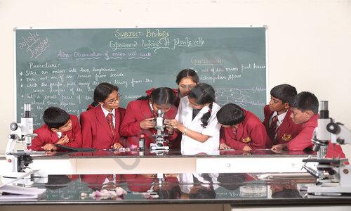 Global International School — photo 4