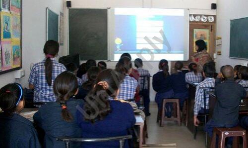 Gold Field Public School — photo 4