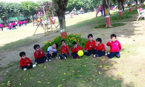 Gold Field Public School — photo 4