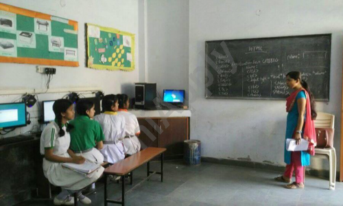 Gold Field Public School — photo 5