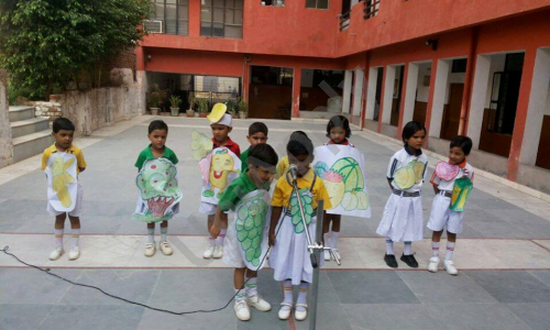 Gold Field Public School — photo 6