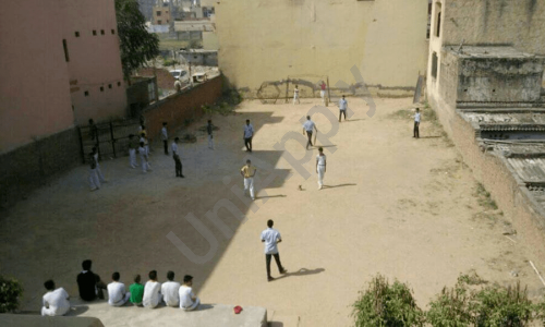 Gold Field Public School — photo 7