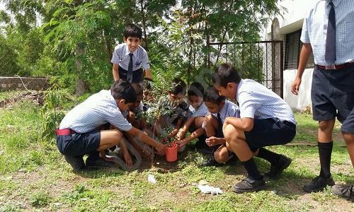 Good Shepherd School — photo 7