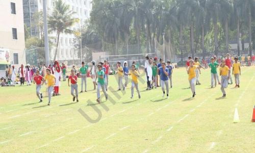 Gopal’s Garden High School — photo 15