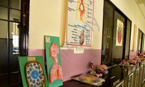 Gopalan National School — photo 10