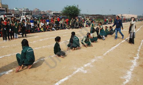 Green Land Model School — photo 2