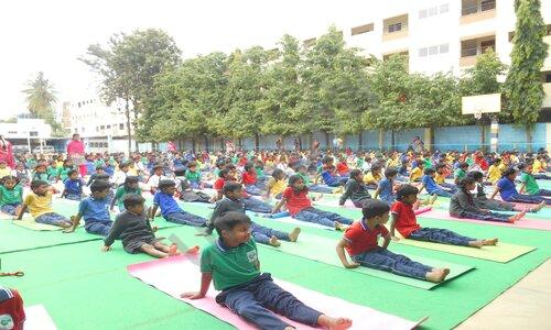Green Valley English School — photo 11