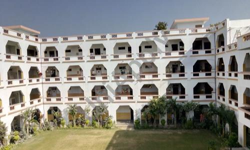 Green View Public school — photo 1