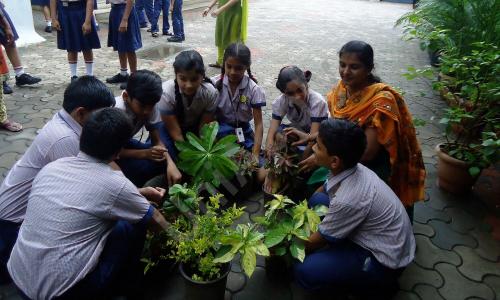 Greenfingers Global School — photo 7