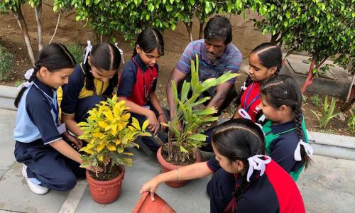 Gurusharan Convent School — photo 8
