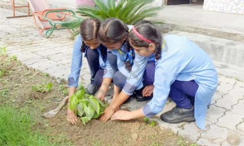 Gyanodaya Model Public School — photo 4