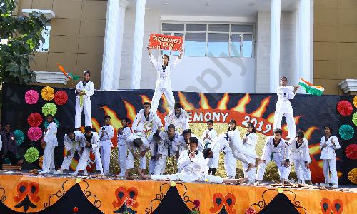 Hari Vidya Bhawan Senior Secondary School — photo 20
