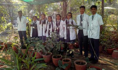 Harmony International School — photo 4