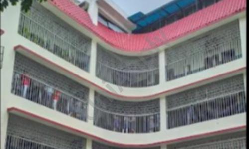 Herendra Leela Patranavis School — photo 1