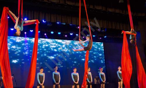 Hill Spring International School — photo 14