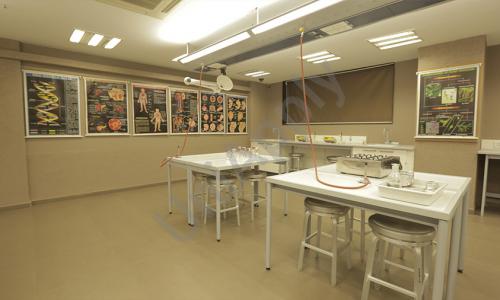 Hill Spring International School — photo 19