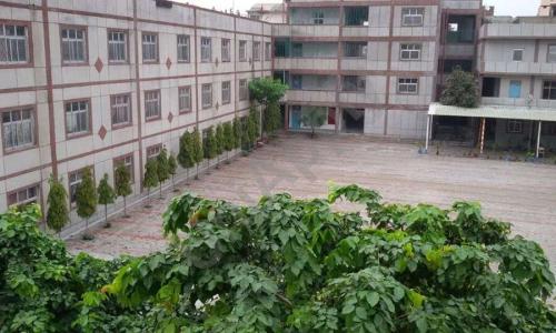 Ideal Public School — photo 5