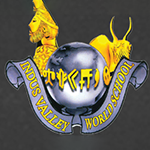 Indus Valley World School logo