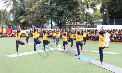 Insight Academy — photo 10