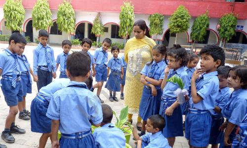 Jeevan Jyoti Senior Secondary School — photo 4