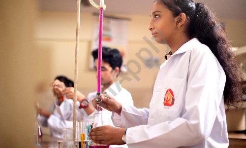 JKG International School — photo 5