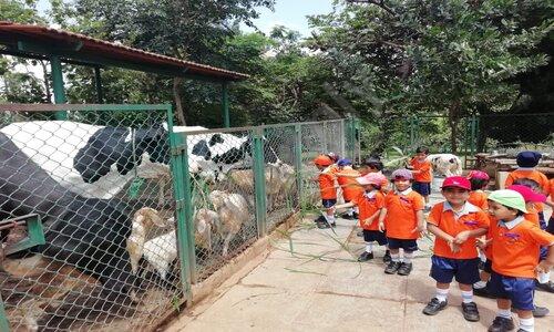 Jnana Sweekar Public School — photo 10