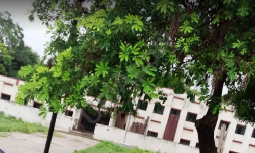 K.D Public School — photo 1