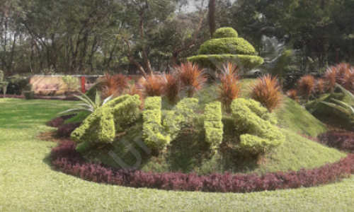 Kapol Vidyanidhi International School — photo 11