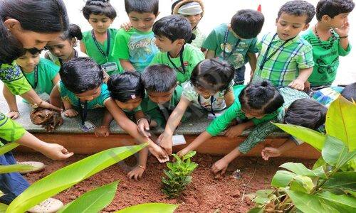 KMV Red Hills Senior Secondary School — photo 8
