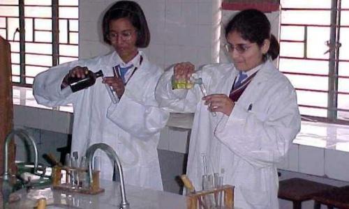 Lal Bahadur Shastri School — photo 6