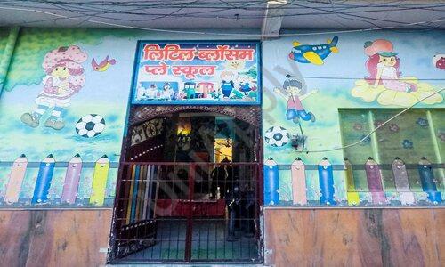 Little Blossom Play School — photo 1