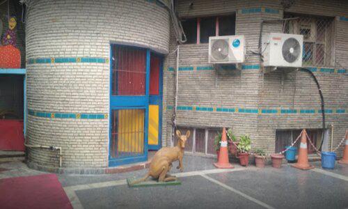 Lovely Public Senior Secondary School | Feeder Branch: Lovely Playway School — photo 3
