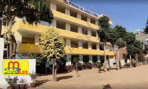 M.L Public School — photo 1