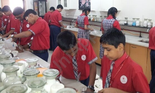 M.P. Shah English High School — photo 8