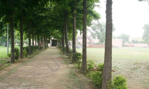 Mahadev Desai Public School — photo 7