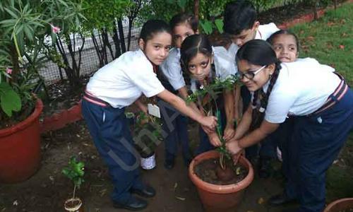 Maharana Mewar Vidya Mandir — photo 2