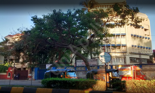 Maneckji Cooper Education Trust School — photo 2