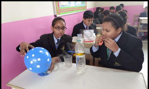 Mata Bhatee Devi Public School — photo 2