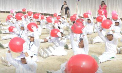 Mata Sushila Malhotra DAV Primary School — photo 3