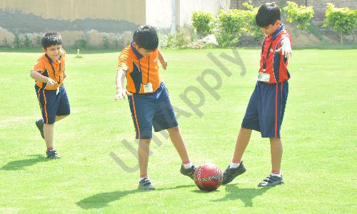 Maxfort School — photo 16