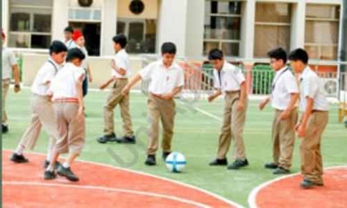 Maxfort School — photo 14