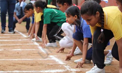 Mayo International School — photo 7