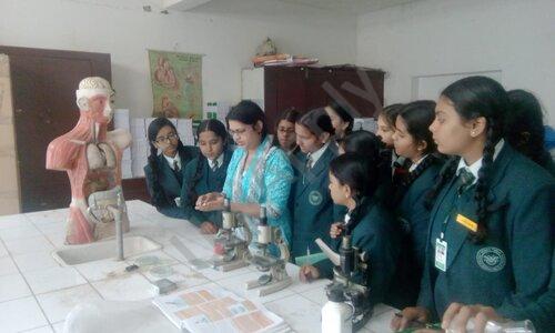 Mc'Nay Doons Public School — photo 3
