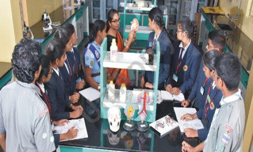 MEC Public School — photo 6