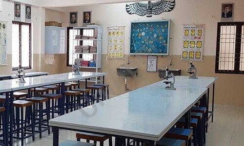MG School for Excellence — photo 6